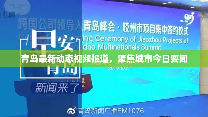 青岛最新动态视频报道，聚焦城市今日要闻