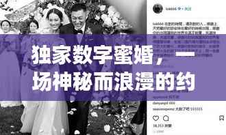 独家数字蜜婚,一场神秘而浪漫的约定