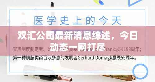 双汇公司最新消息综述,今日动态一网打尽