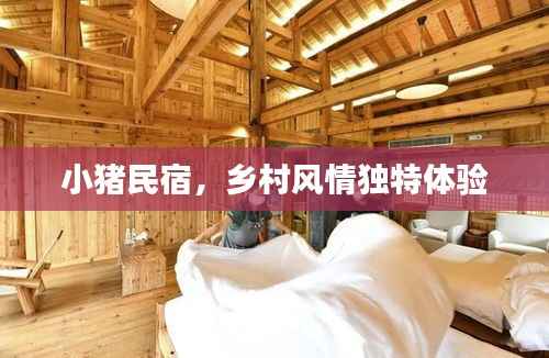 小猪民宿,乡村风情独特体验