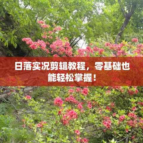 日落实况剪辑教程，零基础也能轻松掌握！